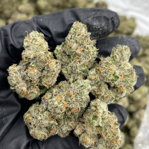 BOLO RUNTZ WEED STRAIN