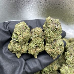 RS 11 STRAIN