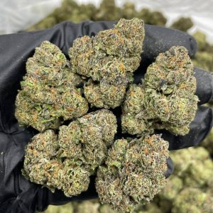 CHERRY RUNTZ STRAIN