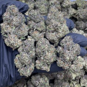 CHERRY ZODA STRAIN