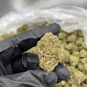 ORANGE CRUSH STRAIN