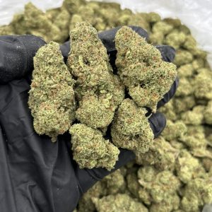 LA KUSH STRAIN
