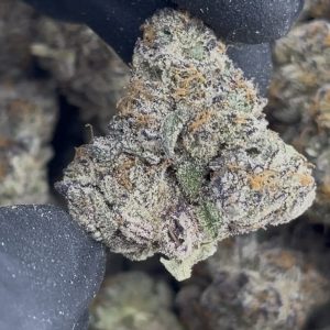 PURPLE TESLA STRAIN