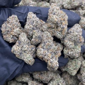VOODOO STRAIN