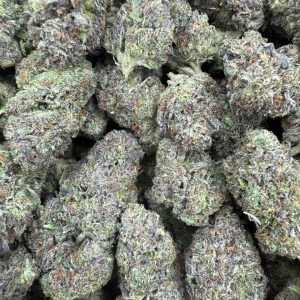 OBAMA RUNTZ STRAIN