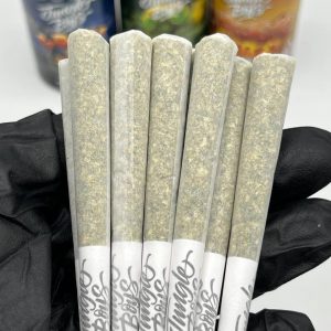 JUNGLE BOYS PRE ROLLS